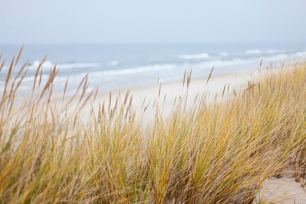 la-lette-blanche-plage
